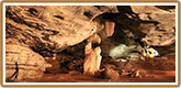 Click to read more about our Caves Tour